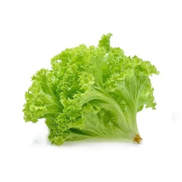 Alface
