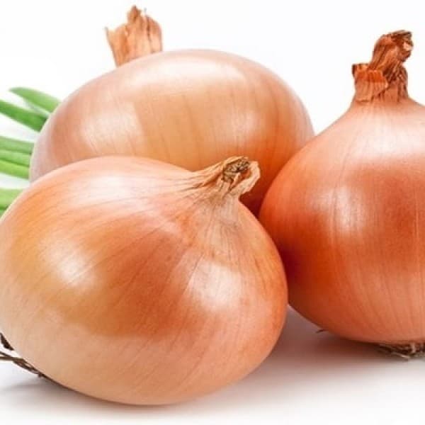 Cebola
